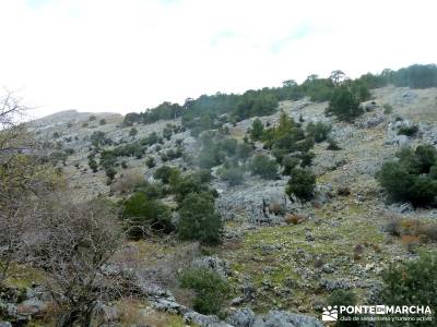 Cazorla - Río Borosa - Guadalquivir; la panera madrid el jerte pico del lobo